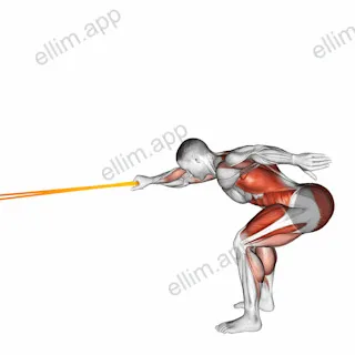 Resistance Band Deadlift with Single Arm Row exercise targeting Back