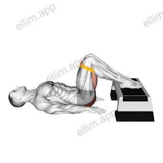 Resistance Band Elevated Glute Bridge exercise targeting Hips