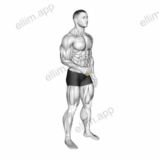 Resistance Band Fingers Extension exercise targeting Hands