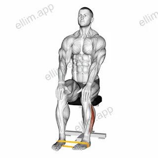 Resistance Band Foot External Rotation exercise targeting Calves
