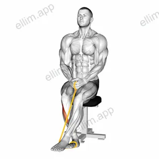 Resistance Band Foot Inversion exercise targeting Calves