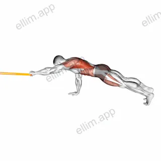 Resistance Band Front Plank with Single Arm Pulldown exercise targeting Back