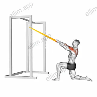 Resistance Band Half Kneeling Face Pull exercise targeting Shoulders and Deltoid Posterior
