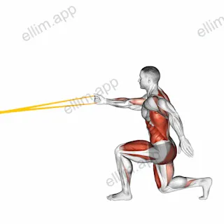 Resistance Band High Knee Lunge with Single Arm Row exercise targeting Back