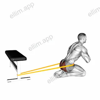 Resistance Band Hip Thrusts on Knees exercise targeting Hips