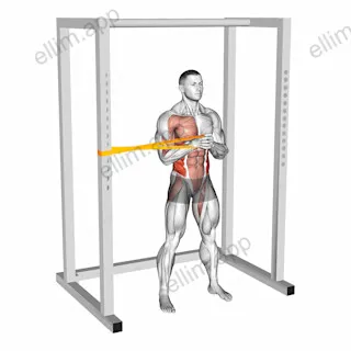Resistance Band Horizontal Pallof Press exercise targeting Waist and Obliques