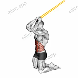 Resistance Band Kneeling Ab Crunch exercise targeting Waist and Rectus Abdominis