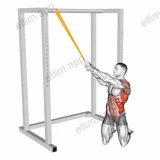 Resistance Band Kneeling Woodchop exercise targeting Waist and Latissimus Dorsi