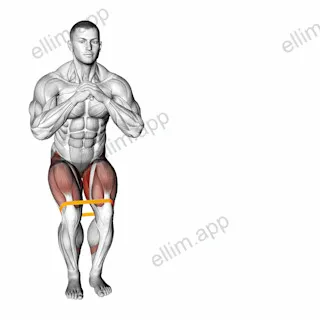Resistance Band Lateral Walk exercise targeting Hips