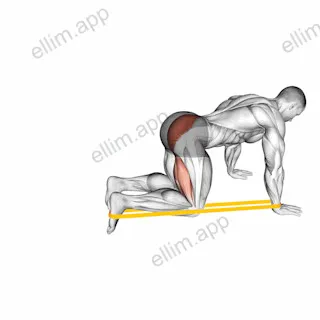 Resistance Band Leg Kickback exercise targeting Hips