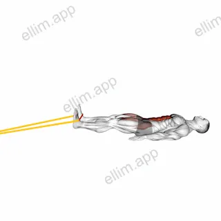 Resistance Band Lying Bent Knee Raise exercise targeting Waist and Iliopsoas