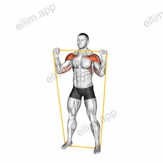 Resistance Band Overhead Shoulder Press exercise targeting Shoulders and Deltoid Anterior