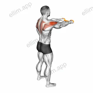 Resistance Band Pull Apart exercise targeting Shoulders and Deltoid Posterior