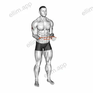 Resistance Band Pullapart (Pronated at 90 Degrees) exercise targeting Shoulders