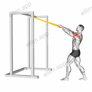 Resistance Band Rear Delt Row exercise targeting Back