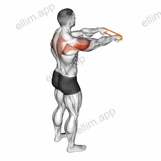 Resistance Band Rear Fly exercise targeting Shoulders and Deltoid Posterior