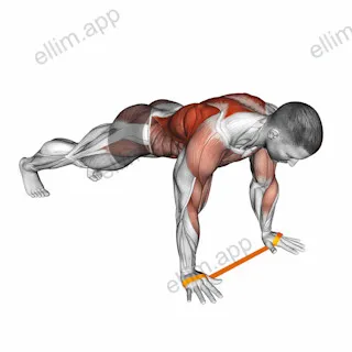 Resistance Band Renegade Row exercise targeting Waist