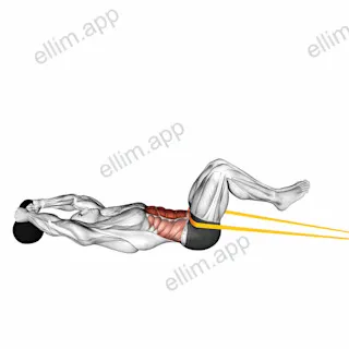 Resistance Band Reverse Crunch exercise targeting Waist and Rectus Abdominis
