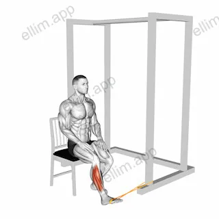 Resistance Band Seated Eversion Foot exercise targeting Calves