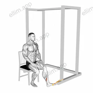 Resistance Band Seated Inversion Foot exercise targeting Calves