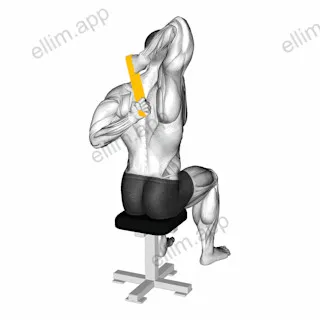 Resistance Band Shoulder Stretch Behind the Back exercise targeting Shoulders and Deltoid Posterior