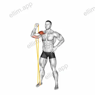 Resistance Band Single Arm Overhead Shoulder Press exercise targeting Shoulders and Deltoid Anterior
