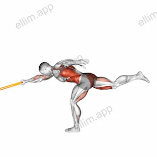 Resistance Band Single Stiff Leg Deadlift with Single Arm Row exercise targeting Back