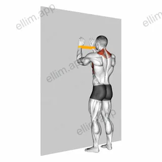 Resistance Band Spider Crawls exercise targeting Back