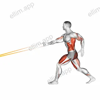 Resistance Band Split Jump with Single Arm Row exercise targeting Back
