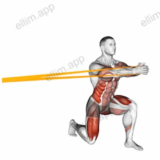 Resistance Band Split Squat with Horizontal Pallof Hold exercise targeting Waist