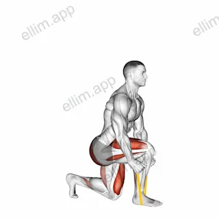 Resistance Band Split Squat exercise targeting Thighs and Gluteus Maximus