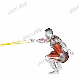 Resistance Band Squat with Single Arm Row exercise targeting Back