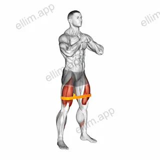 Resistance Band Squat exercise targeting Thighs