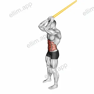 Resistance Band Standing Ab Crunch exercise targeting Waist and Rectus Abdominis
