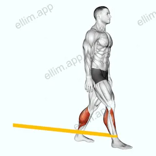 Resistance Band Standing Back Achilles Stretch exercise targeting Calves and Gastrocnemius
