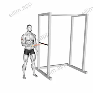 Resistance Band Standing Shoulder Extrernal Rotation exercise targeting Back