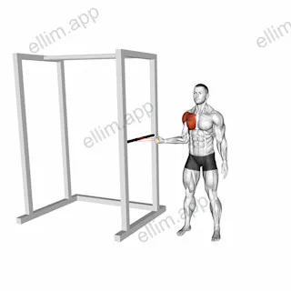 Resistance Band Standing Shoulder Internal Rotation exercise targeting Shoulders