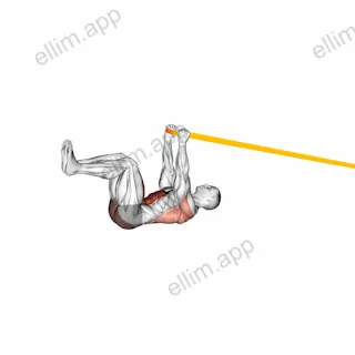 Resistance Band Upper Body Dead Bug exercise targeting Iliopsoas and Rectus Abdominis
