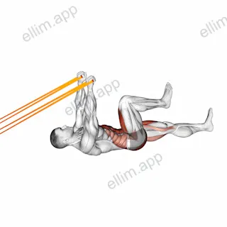 Resistance Band Upper Body Lying Air Bike exercise targeting Waist
