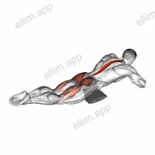 Reverse Back Extension on Floor exercise targeting Hips
