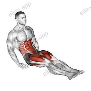 Reverse Crunch Kick exercise targeting Waist and Iliopsoas