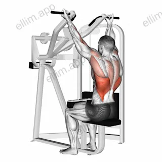 reverse grip machine lat pulldown exercise targeting Back