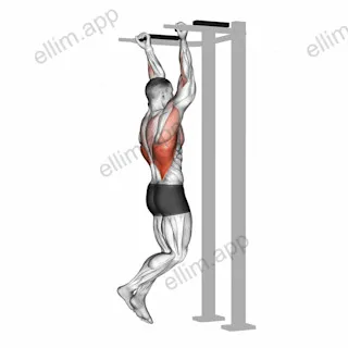 Reverse grip Pull up exercise targeting Back