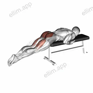 Reverse Hyper on Flat Bench exercise targeting Hips and Gluteus Maximus