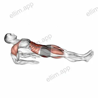 Reverse Plank on Elbows exercise targeting Waist