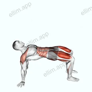 Reverse Plank with Leg Lift exercise targeting Iliopsoas and Quadriceps