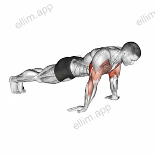 Reverse Push-up exercise targeting Upper Arms and Triceps Brachii