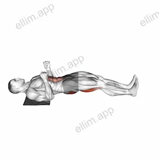 Reverse Sliding Leg Curl on Floor with Towel exercise targeting Thighs