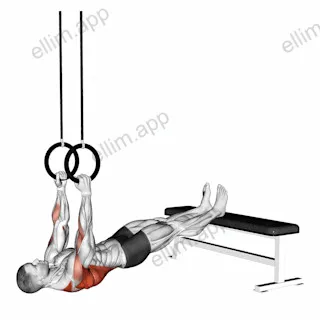 Ring Elevated Row exercise targeting Back
