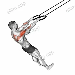 Ring Face Pull exercise targeting Shoulders